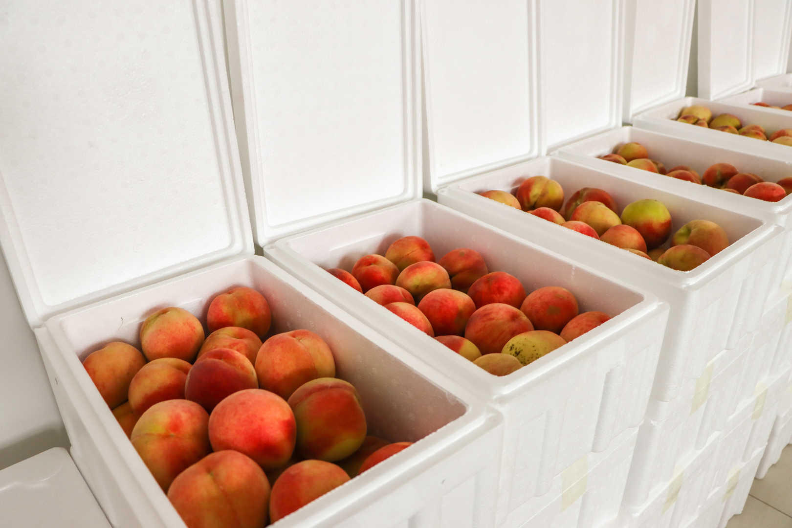 【甜蜜關(guān)懷】濱澳桃香漫工位，助農(nóng)暖心兩相宜！